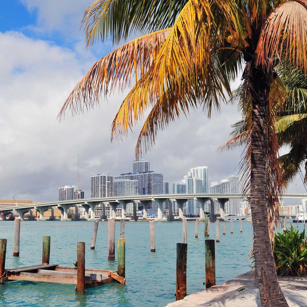 Carrusel-miami-tou-1